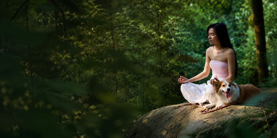 Yoga studio in Da Nang, My An — beachside yoga classes at Umi Yoga